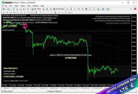 ForexChief مرور